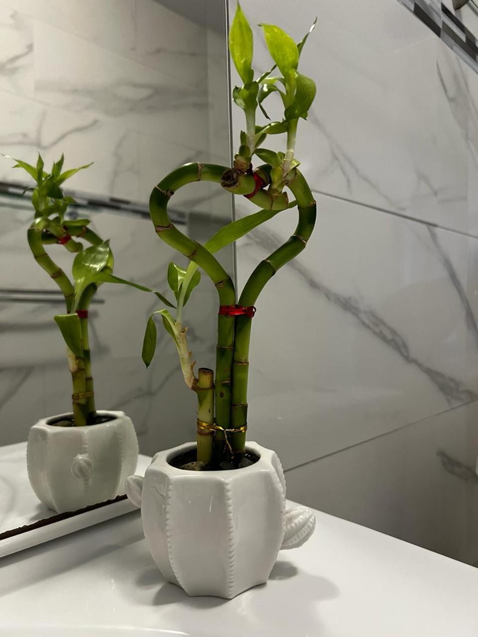 The Little Heaven Apartment Baie Nettle ภายนอก รูปภาพ